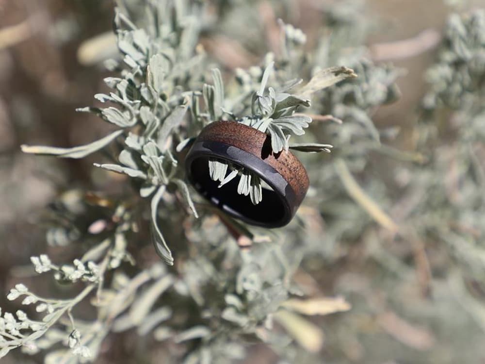 Craftsman 70/30  Carbon Fiber & Walnut Wood Ring by Element Ring Co.