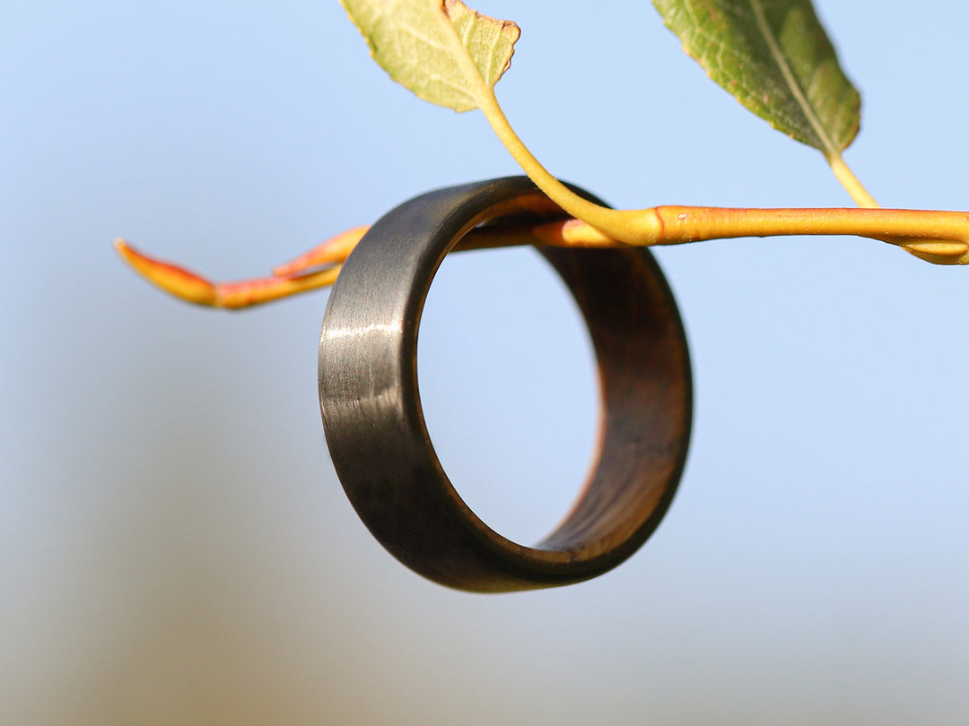 Cooper carbon fiber whiskey barrel ring on plant