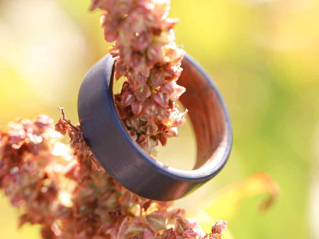 Cooper carbon fiber whiskey barrel ring on plant