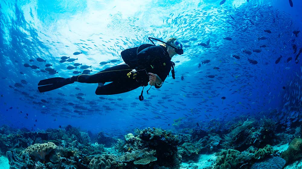 Girl scuba diver | Feature | Carbon-Fiber-Used-In-New-Scuba-Regulator-For-Greater-Durability